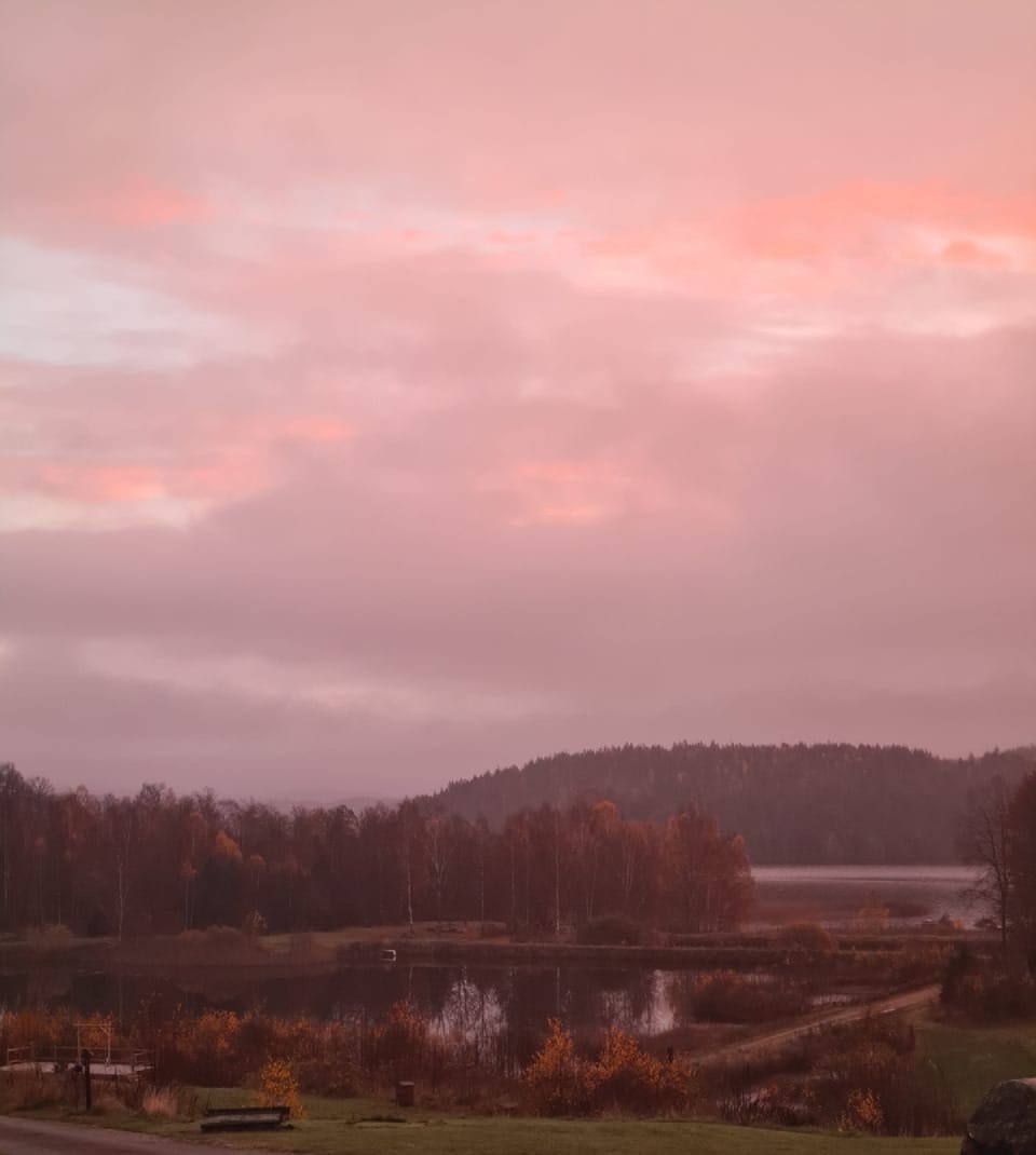 Pink morning sky over the lake and forest at Sju Sjöar